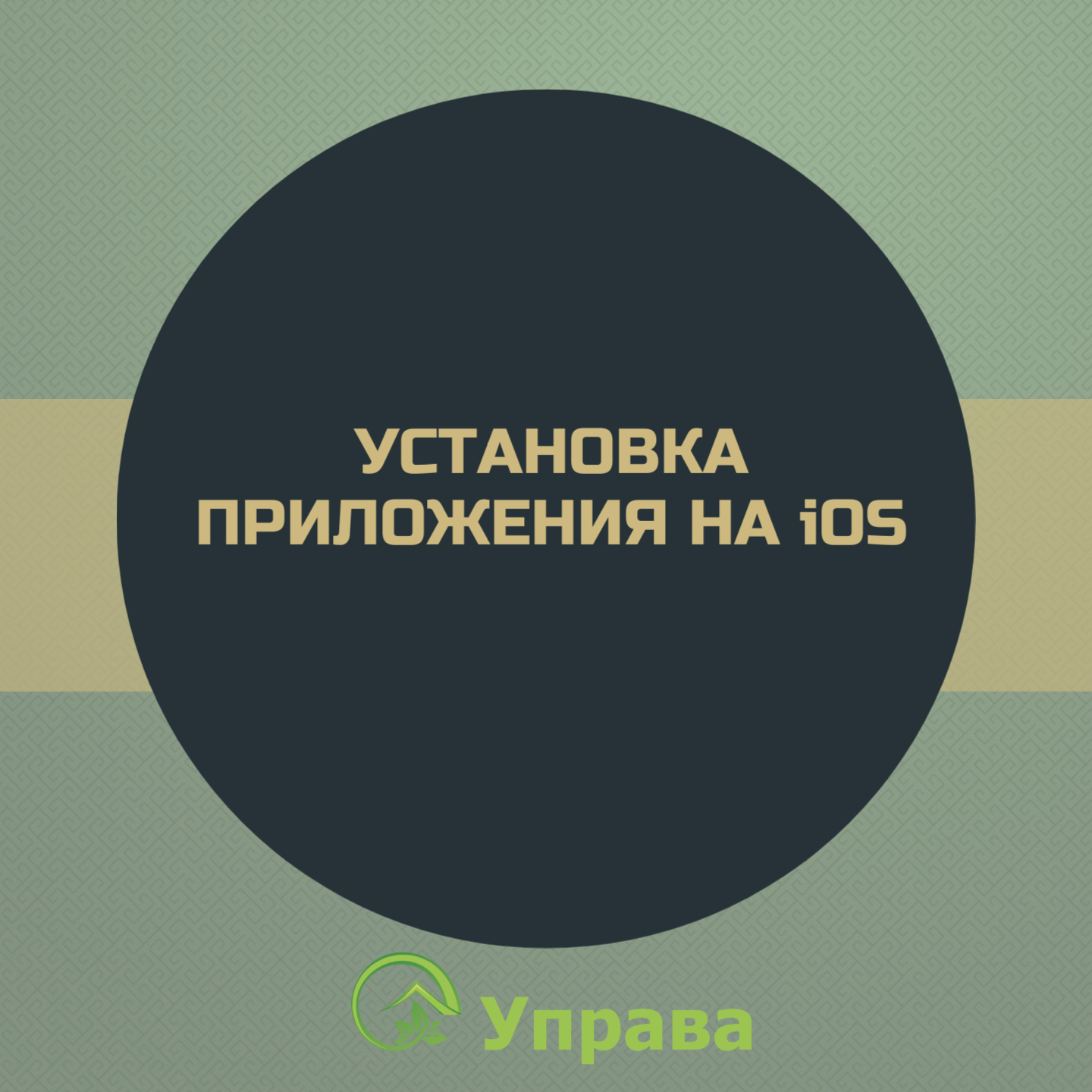 Картинка к новости