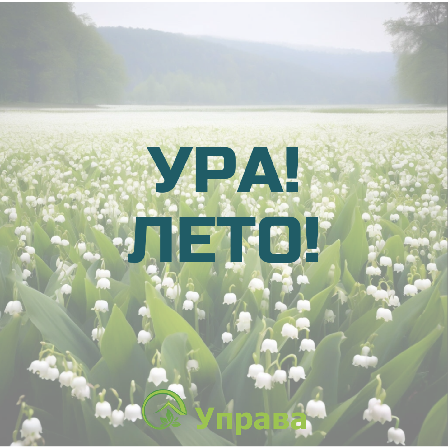 Картинка к новости